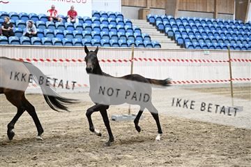 181754_kbb_01_Z093450.JPG