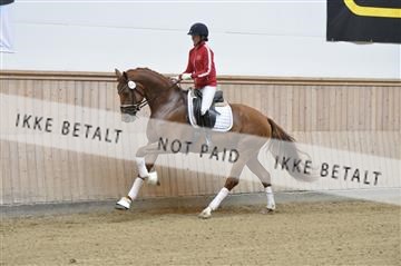 160111_nn_01__ESK1777.JPG