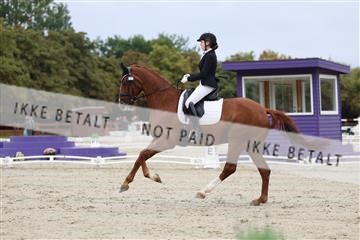 181923_mtp_01_R62_6421.JPG