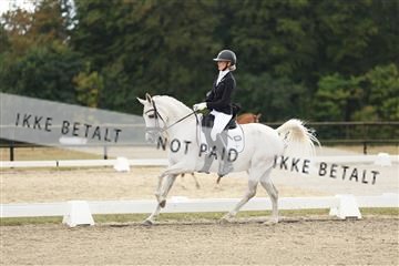 181894_mtp_03_R62_2485.JPG