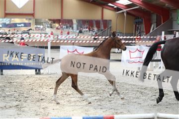 181868_mtp_03_R62_5974.JPG
