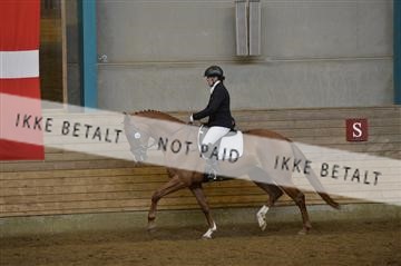 144288_abo_01__AB22540.JPG