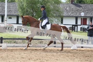 147698_nn_01_IMG_0095.JPG