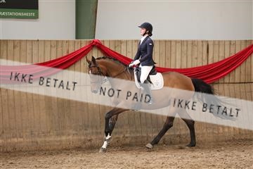 171342_mtp_01_3M5A7886.JPG