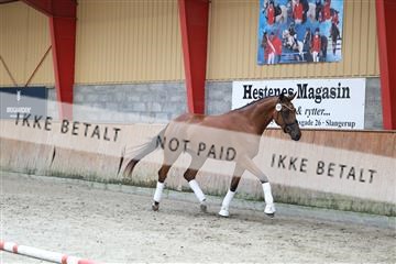 181868_mtp_02_R62_5445.JPG