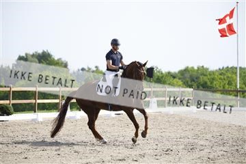 181449_kbb_02_6II1289.JPG