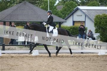 147698_nn_01_IMG_0157.JPG