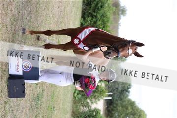 181867_mtp_02_R62_4970.JPG