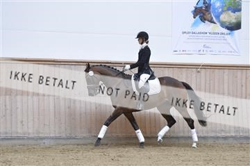 160111_nn_01__ESK1972.JPG