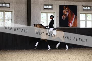 181243_avh_01_1827 (1).JPG