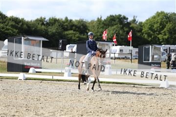 181894_mtp_05_R62_4908.JPG