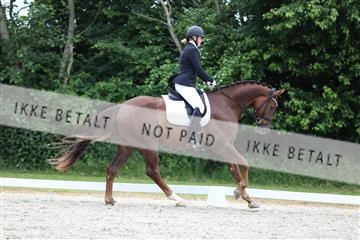 172073_mtp_01_3M5A2981.JPG
