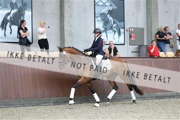 181852_mtp_04_R62_3022.JPG