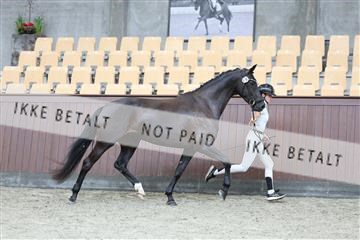 181852_mtp_02_R62_2014.JPG