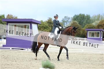 181923_mtp_04_R62_8688.JPG