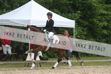 135518_ms_01_IMG_0890.JPG