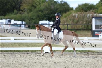181894_mtp_05_R62_5061.JPG