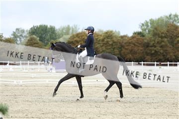 181923_mtp_04_R62_8603.JPG