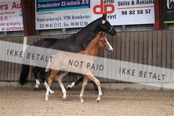 175231_kbb_01_R6II4741.JPG