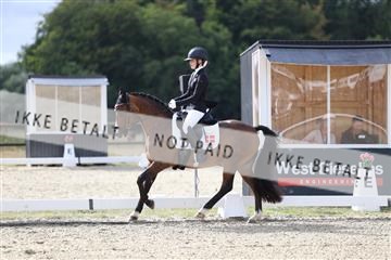 181894_mtp_01_R62_0541.JPG