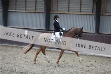 171210_mtp_01_3M5A6226.JPG
