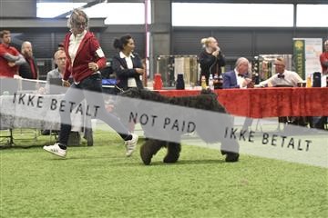 163793_bkn_01__BKN7216.JPG