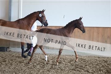 181756_mtp_03_R62_2739.JPG