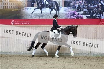 181887_mtp_04_R62_8925.JPG