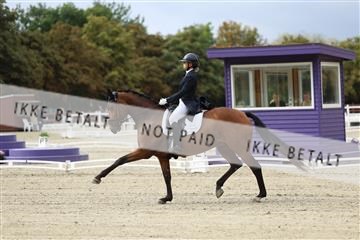 181923_mtp_03_R62_7242.JPG