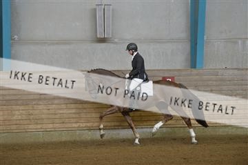 144288_abo_02__AB22869.JPG