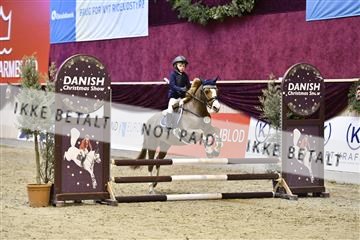 161006_abo_01__D050435.JPG