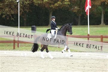 181923_mtp_04_R62_9004.JPG