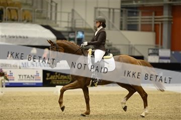 144963_abo_02__AB15432.JPG