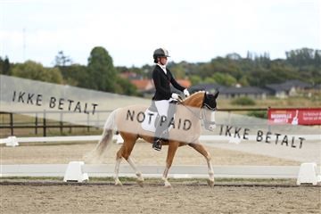 181894_mtp_03_R62_2522.JPG