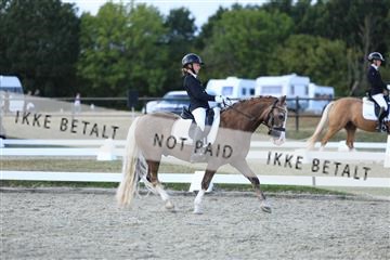 181894_mtp_05_R62_5138.JPG