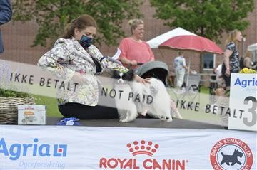 168981_bkn_01__MHR0191.JPG