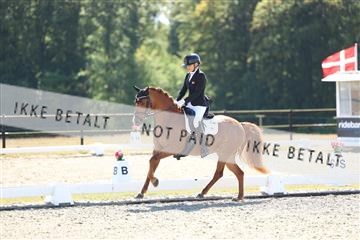 181894_mtp_02_R62_1794.JPG