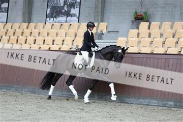 181852_mtp_02_R62_1610.JPG
