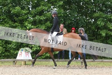 135518_ms_01_IMG_1403.JPG