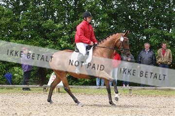135518_ms_01_IMG_1451.JPG