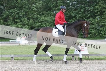 135518_ms_02_IMG_2876.JPG