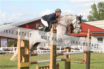 5925_ma_04_IMG_0502.JPG