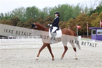 181923_mtp_01_R62_6434.JPG
