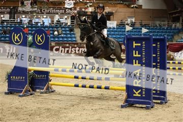 175934_avh_02_6959.JPG