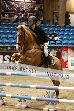 175934_avh_02_7065.JPG