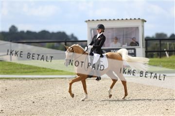 156716_mlm_02_IMG_1057.JPG