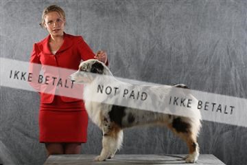 129608_le_ 01_0832.JPG