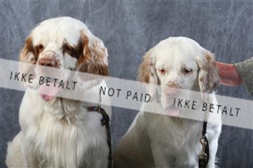 129608_le_ 01_0729.JPG