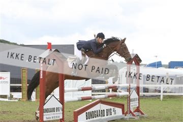 5925_ma_05_IMG_0974.JPG