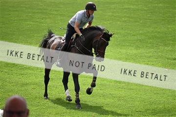 175339_akl_01_Z6D_0161.JPG